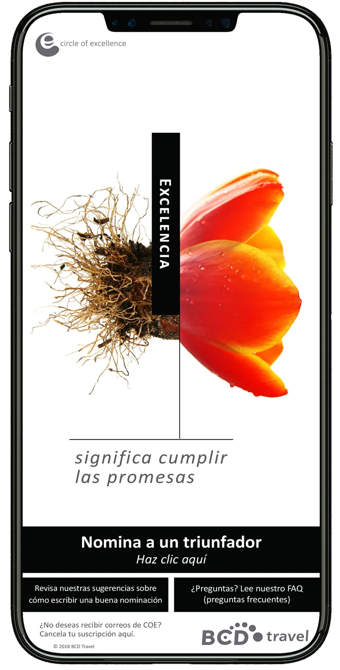 BCD Travel Circle of Excellence campaign tulip graphic