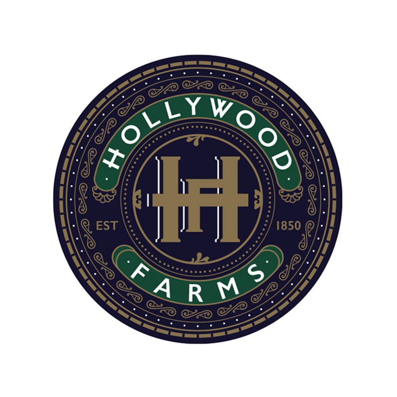 Hollywood Branding Campaign
