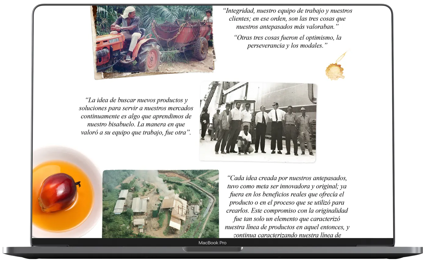 Herrera website history page design