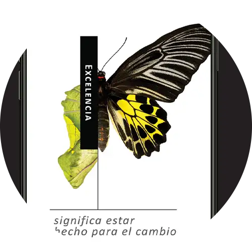BCD Travel branding and design