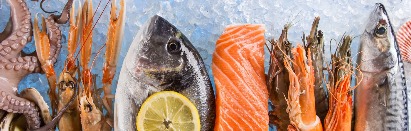 Metro Chef fresh fish product photography