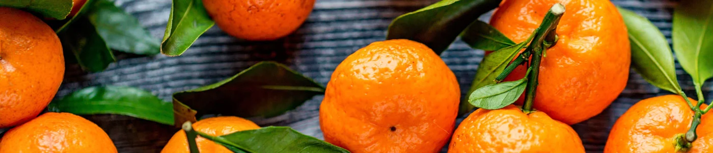 Metro Chef fresh orange product photography