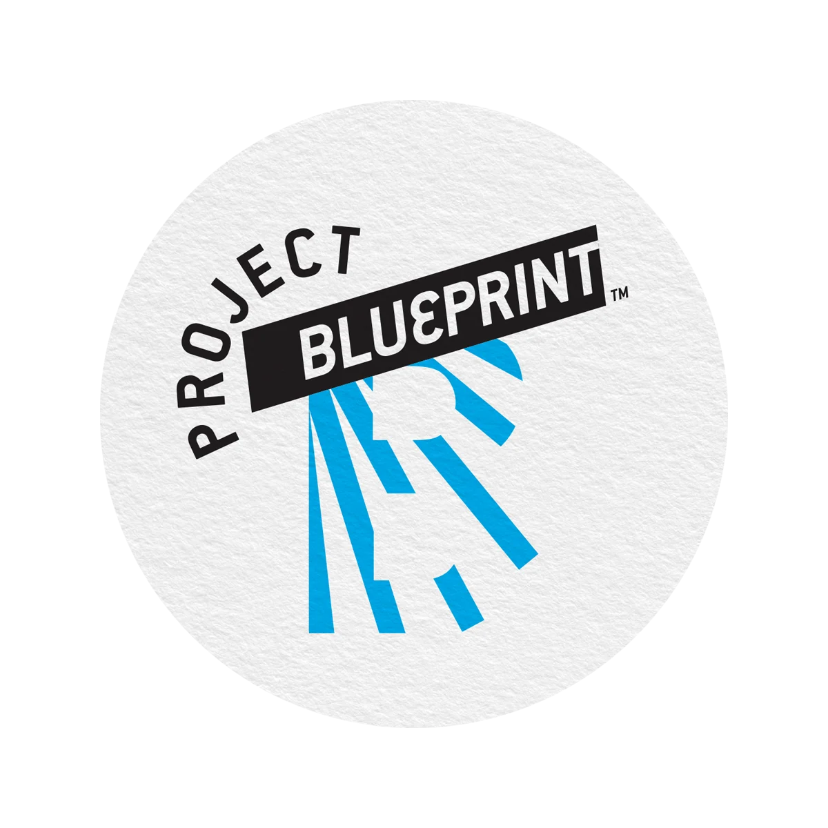 Nicole Antoinette Consulting brand extension blueprint