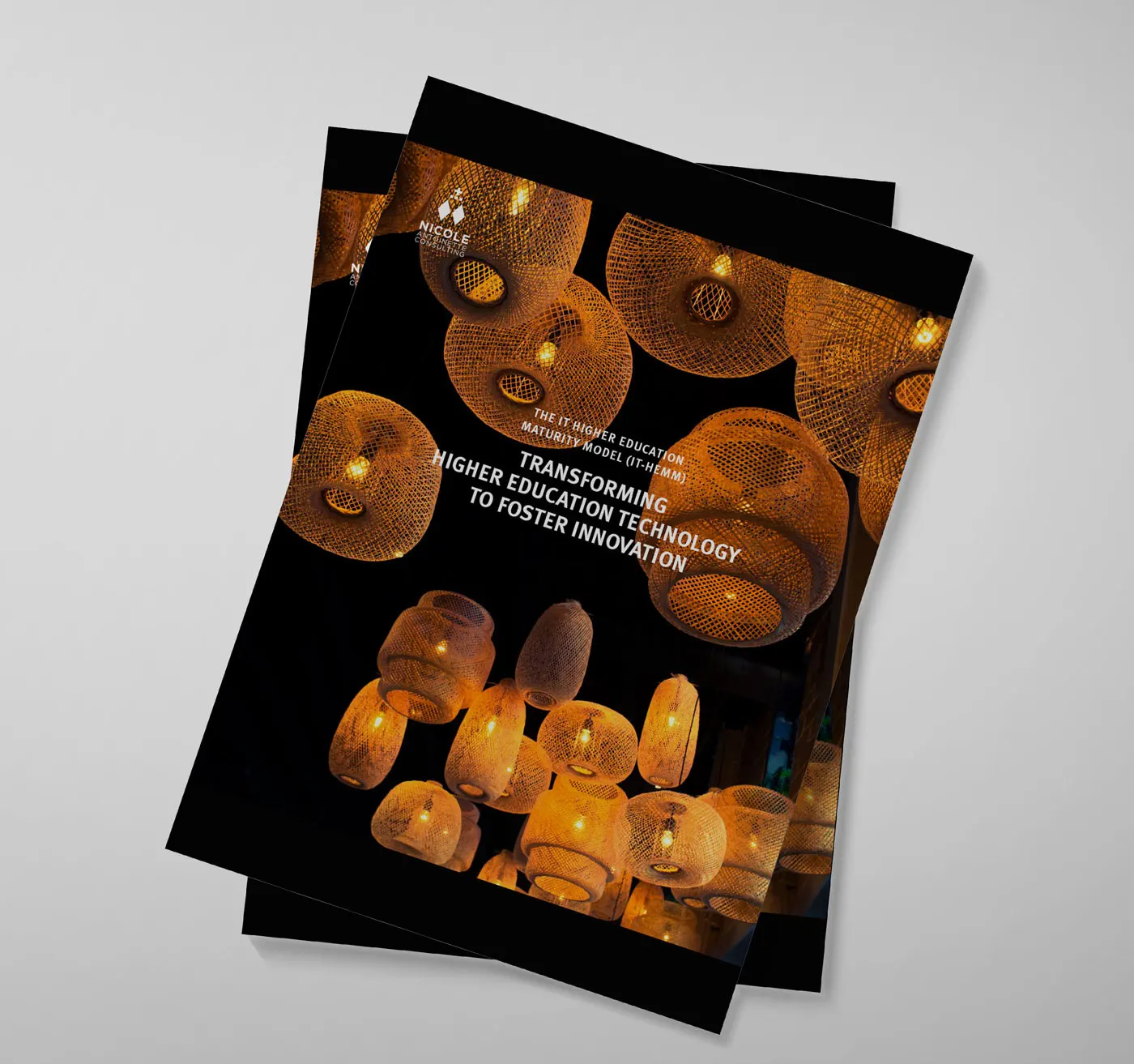 Nicole Antoinette Consulting brochure design